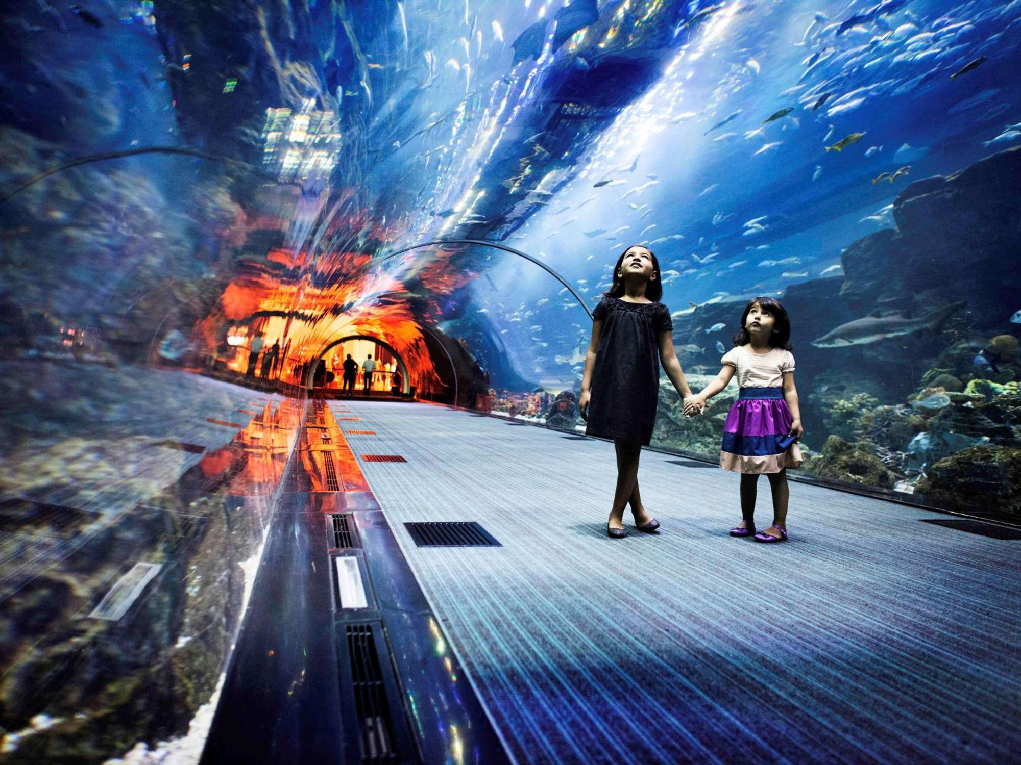 Hotel Raffles Dubai Esterno foto The Lost Chambers Aquarium